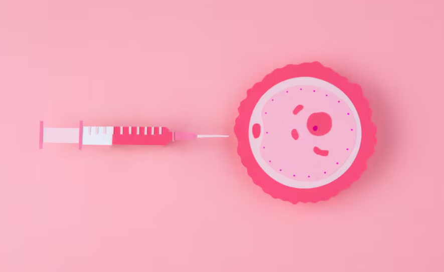 ICSI Treatment