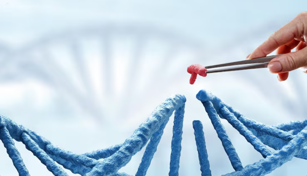 Genetic Testing (PGT)