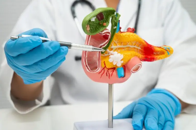 Liver & Pancreatic Cancer